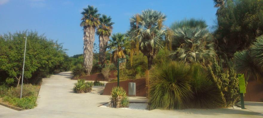 Jardí Botànic. Zona de Califòrnia